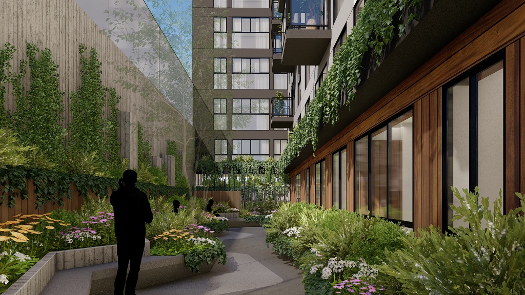 Proyecto Menta Patio